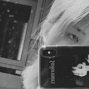 麻豆91成人免费短视频在线下载观看
