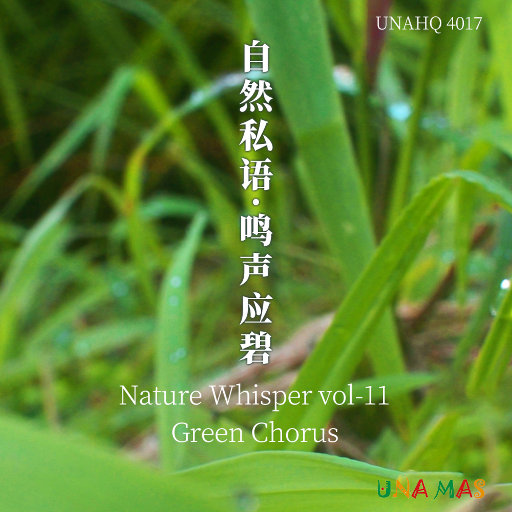 麻豆91成人免费短视频在线下载观看
