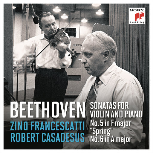 麻豆91成人免费短视频在线下载观看
